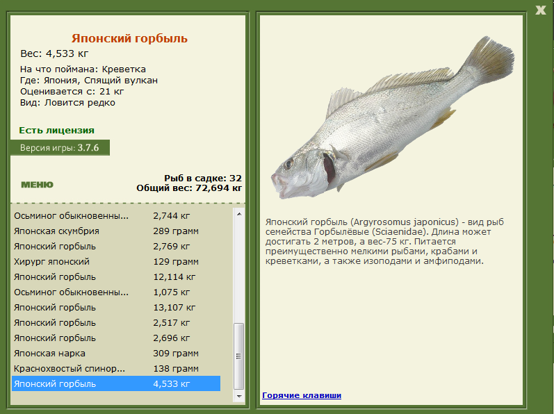 Рыба «голавль» фото и описание