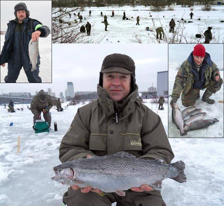 Платная рыбалка во владимирская области: каталог платников