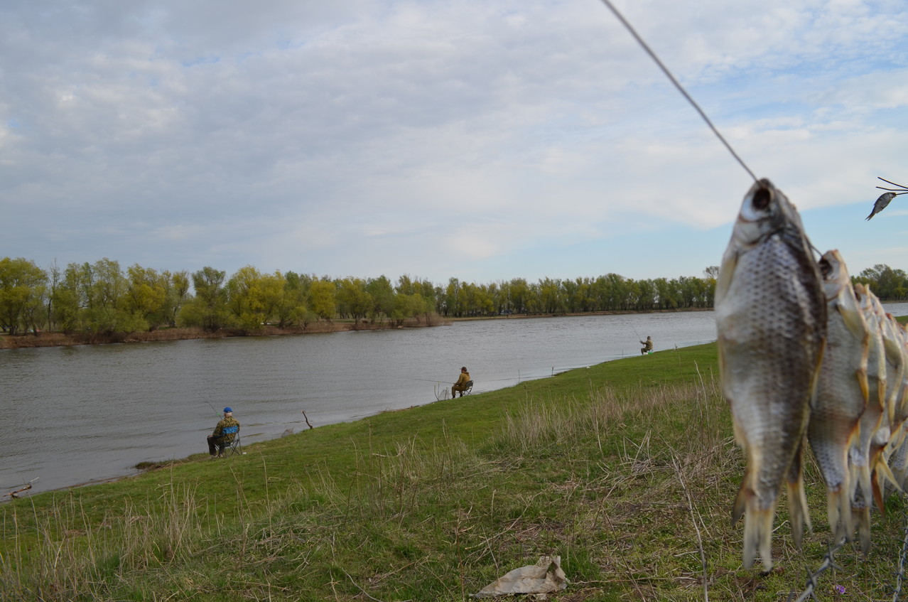 Рыбалка в астрахани дикарем — особенности и места