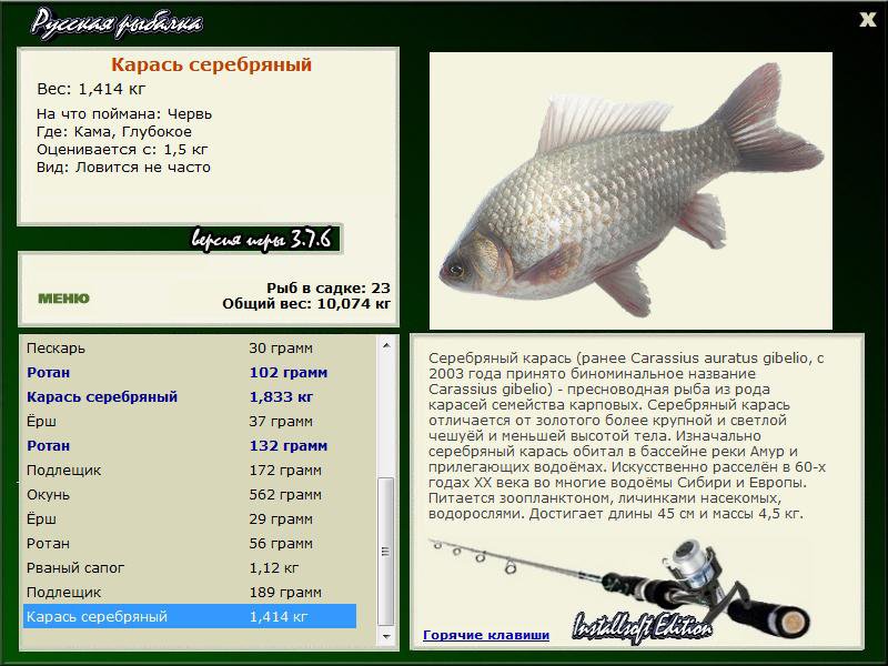 Как выглядит рыба-гибрид? описание, среда обитания, преимущества перед чистыми формами :: syl.ru