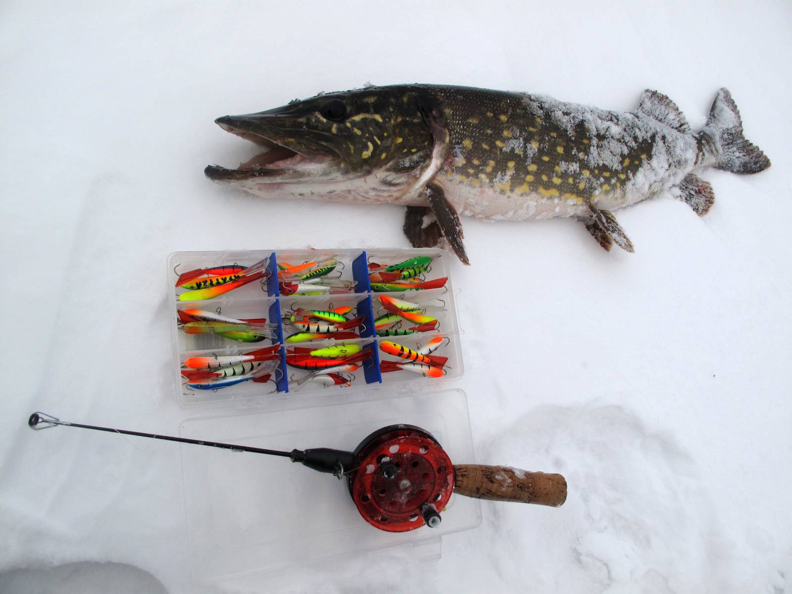 Рыбалка на щуку с зимними приманками