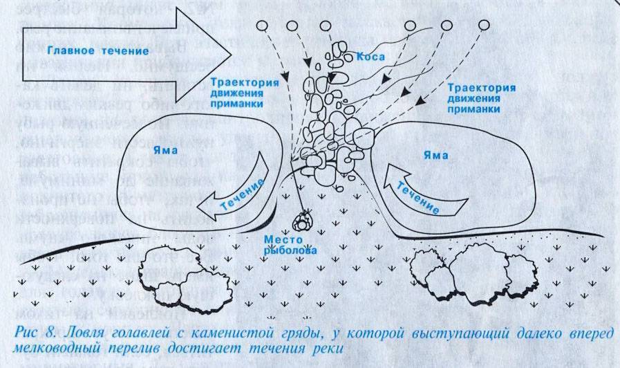 Как ловить голавля? рыбалка на голавля: оснастка