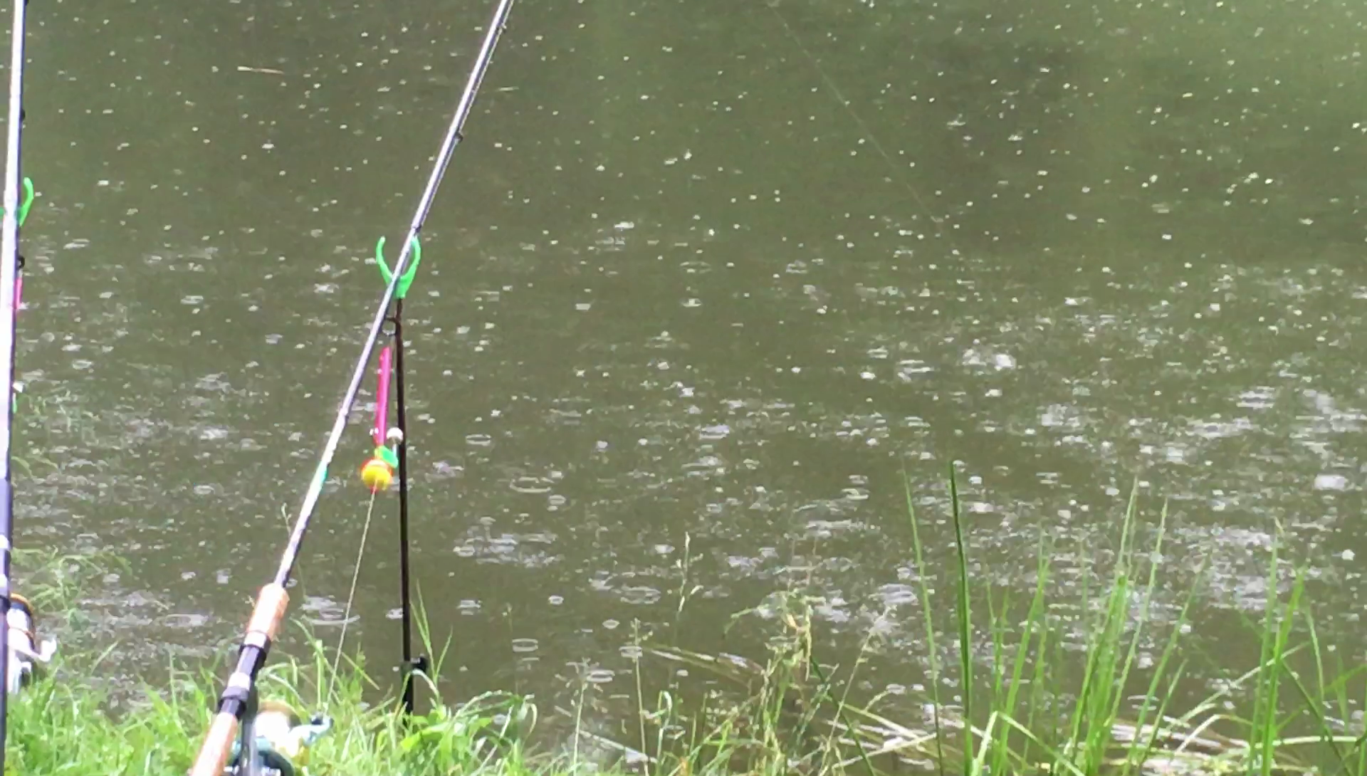 При каком ветре лучше клюет рыба летом, влияние его направления на рыбалку