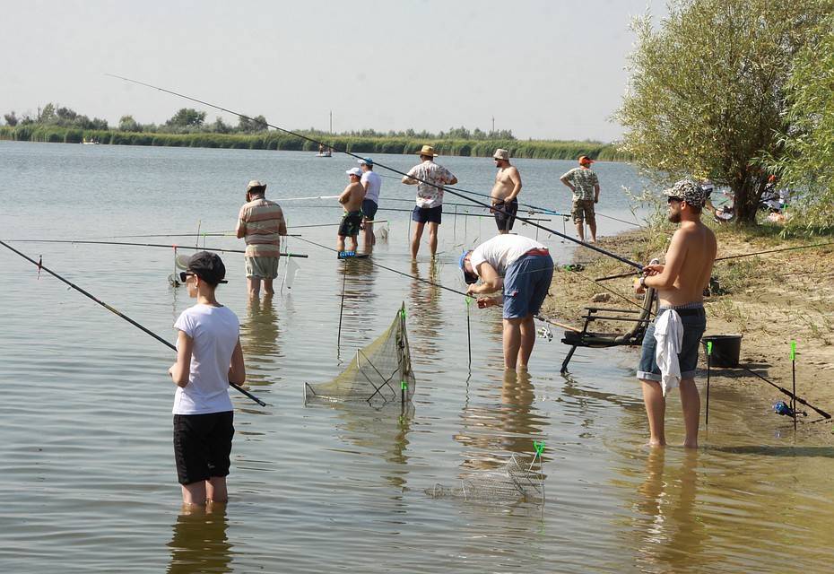 Места для рыбалки в ростовской области