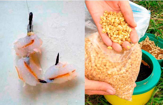 Каша для кормушки на карася: рецепты салапинской и гороховой каши, как приготовить своими руками для рыбалки, какую прикормку лучше выбрать