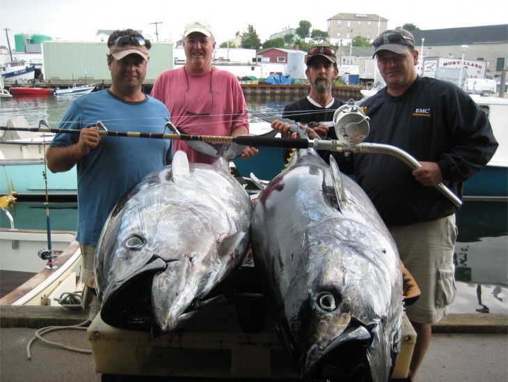 Ловля тунца в открытом море: приманки и способы ловли рыбы