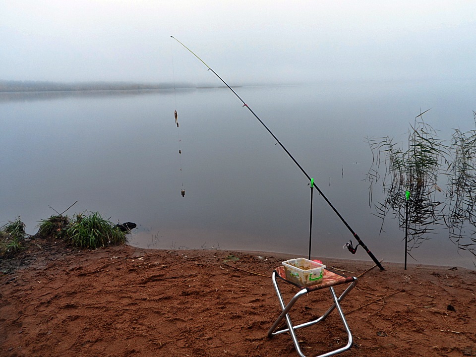 Рыбалка на дону в верховье и низовьях: лучшие места, способы ловли, отзывы