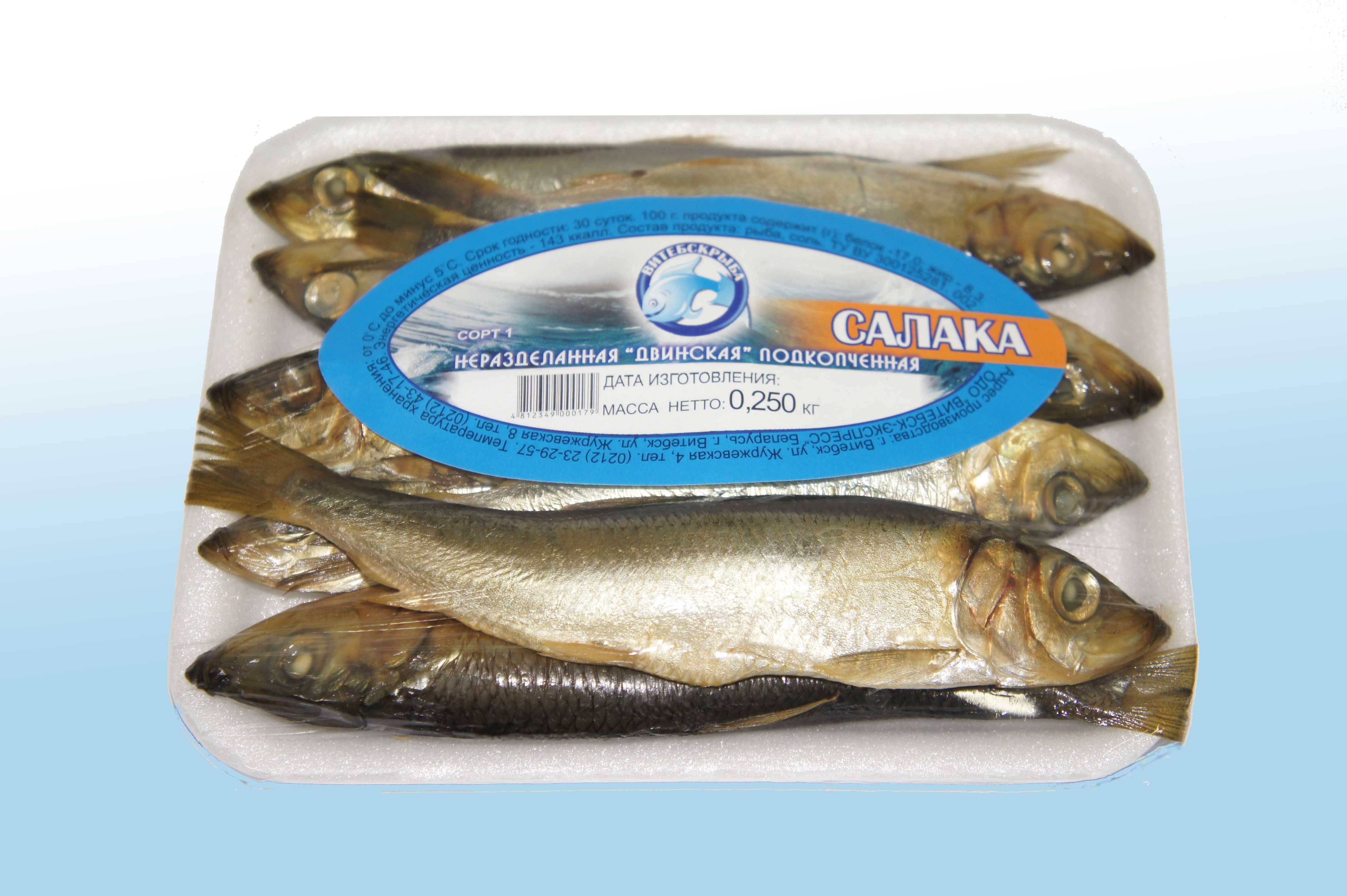 Рыба салака: польза и вред для организма | польза и вред