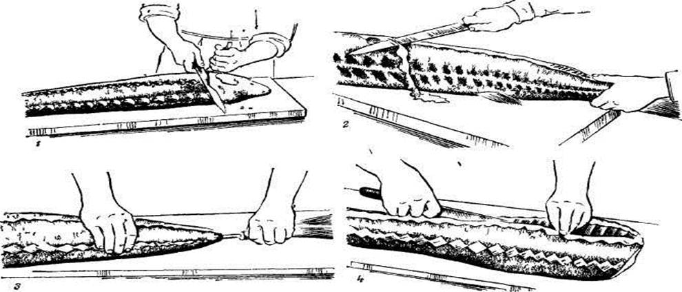 Как чистить осетра в домашних условиях пошаговый рецепт с фото
