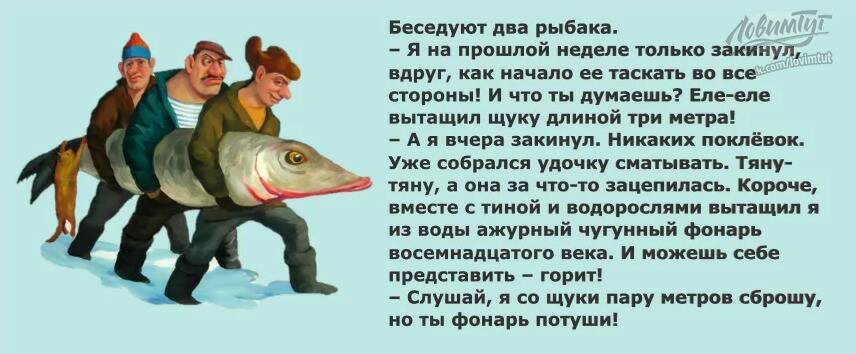 Самые смешные анекдоты про рыбалку и рыбаков - читать онлайн