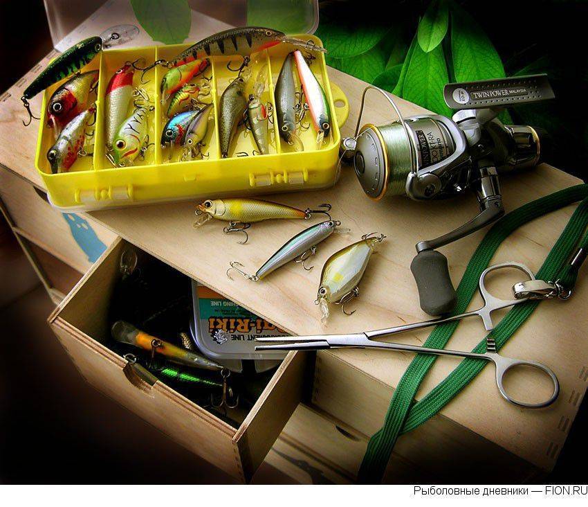 Как хранить мотыля в домашних условиях для рыбалки