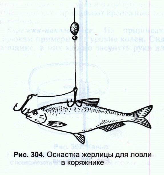 Анатомия рыболовных крючков их их виды