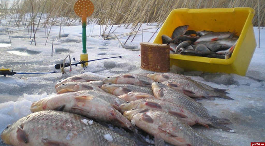 Где сверлить лунки на зимней рыбалке и как искать рыбу зимой - читайте на сatcher.fish