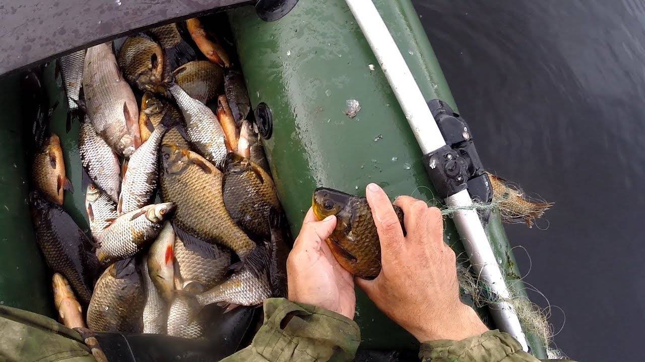 Рыбалка сетями: разнообразие рыболовных снастей, зимняя рыбалка