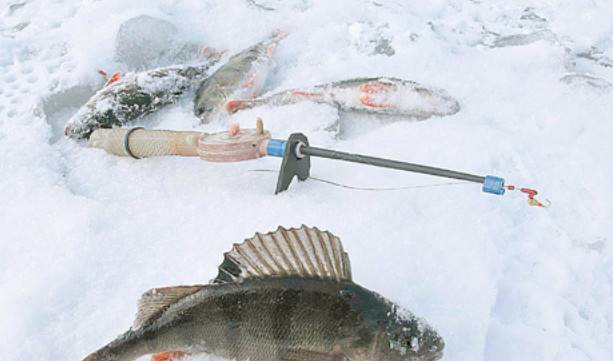 Особенности ловли окуня зимой, лучшие приманки для уловистой рыбалки