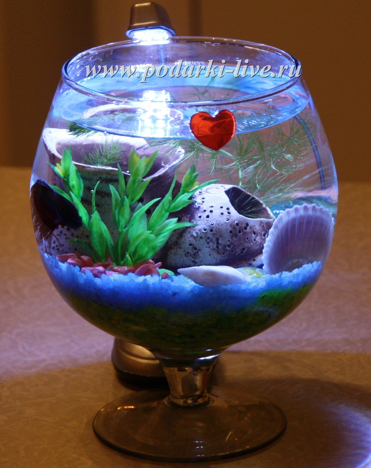 Круглый аквариум: оформление, уход, рыбки (каких можно держать), крышка, недостатки