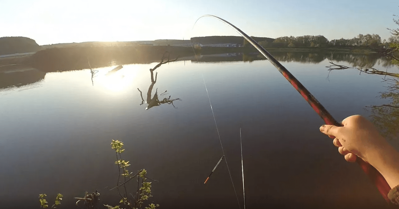 Рыбалка на плотву с поплавочной удочкой