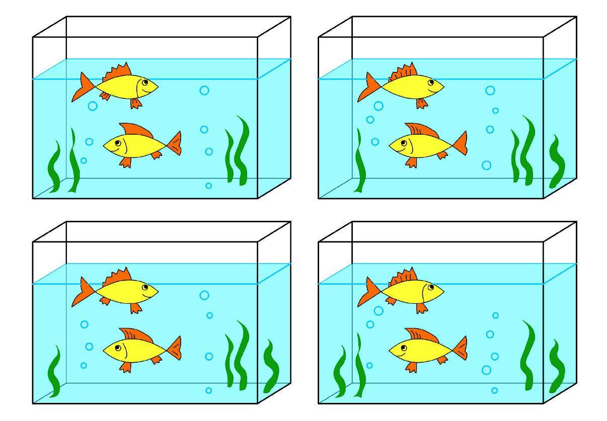 Аквариумные рыбки для дошкольников. Аквариум с рыбками рисунок. Аквариум рисунок для детей. Аквариум с рыбками для детей. Занятие рыбки в аквариуме.