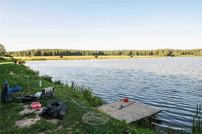 Крх мосфишер: платная рыбалка в чехове подмосковье, описание и особенности прудов