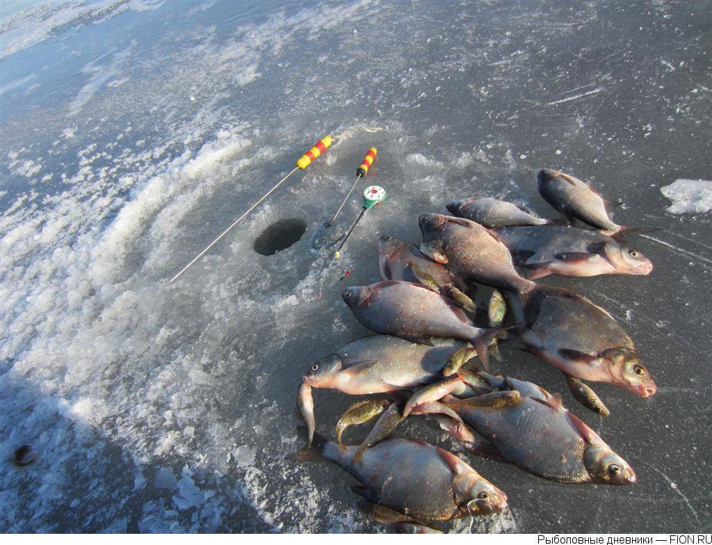 Рыбалка в ленобласти. 8 самых «клёвых» озёр региона