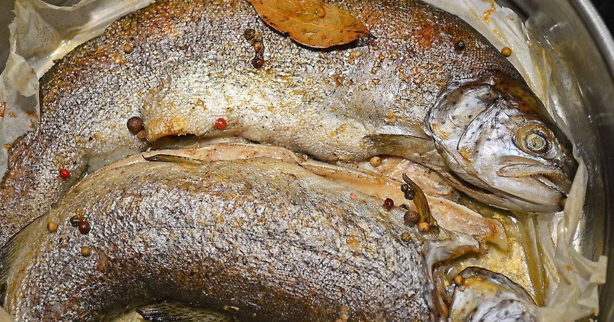 Рыба голец – рецепты — как вкусно приготовить рыбу голец