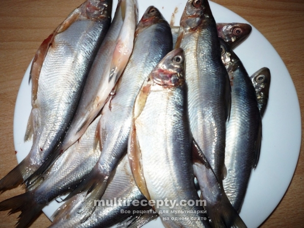 Сырок рыба рецепты приготовления