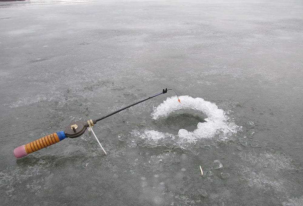 Зимняя рыбалка на ротана — на что ловить и чем прикормить для лучшего улова рыбы