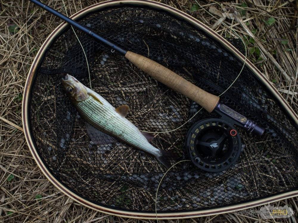 Рыбалка на дону — способы ловли, лучшие места для рыбалки на реке дон - fishingwiki