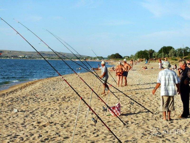 Фото рыбалка на азовском море