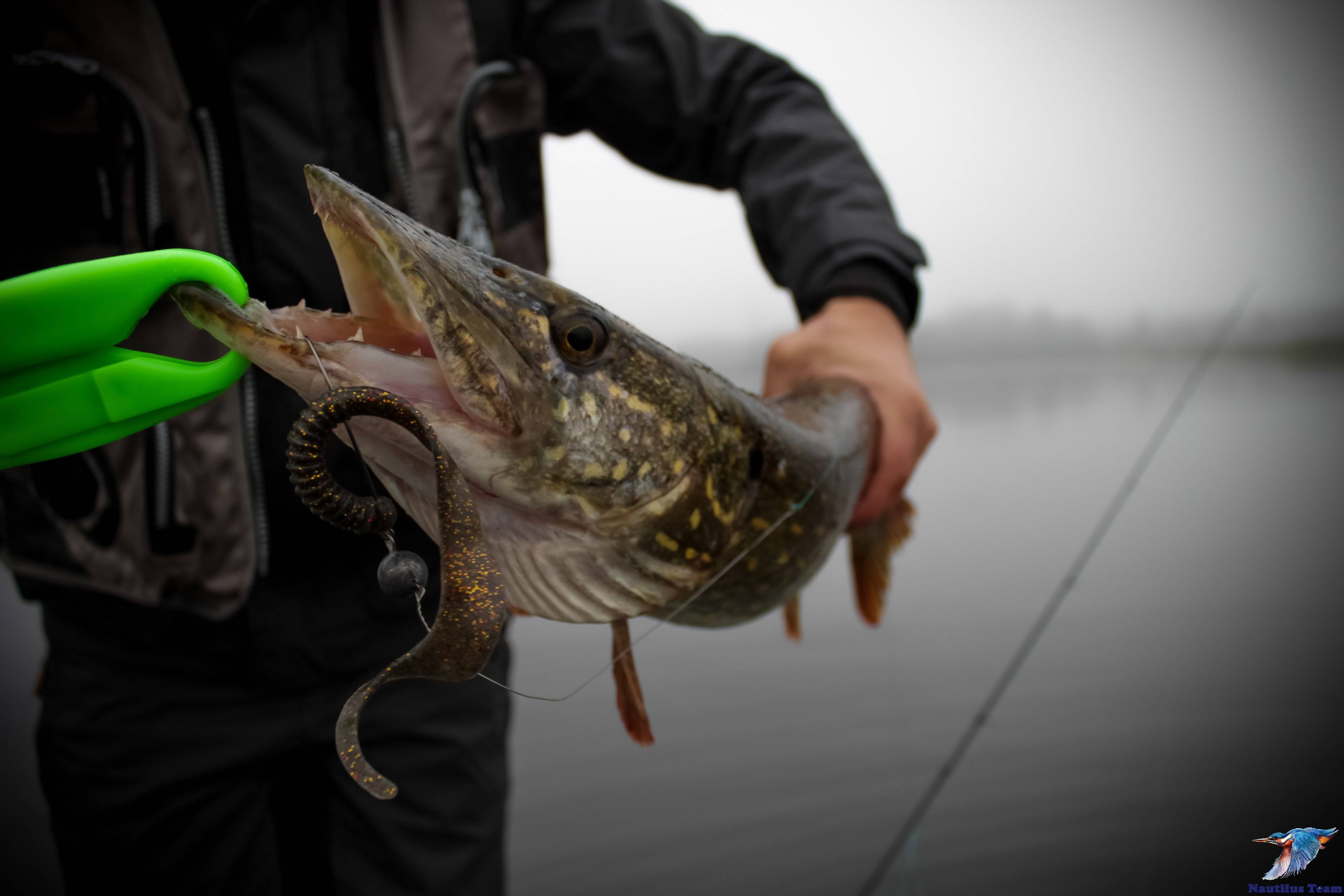 Рыбалка на спиннинг - ловля спиннингом хищных рыб: снасть, приманки, оснастки