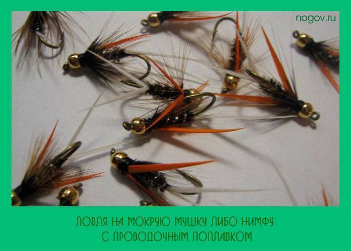 Ловля голавля - календарь клева, выбор приманок и снастей