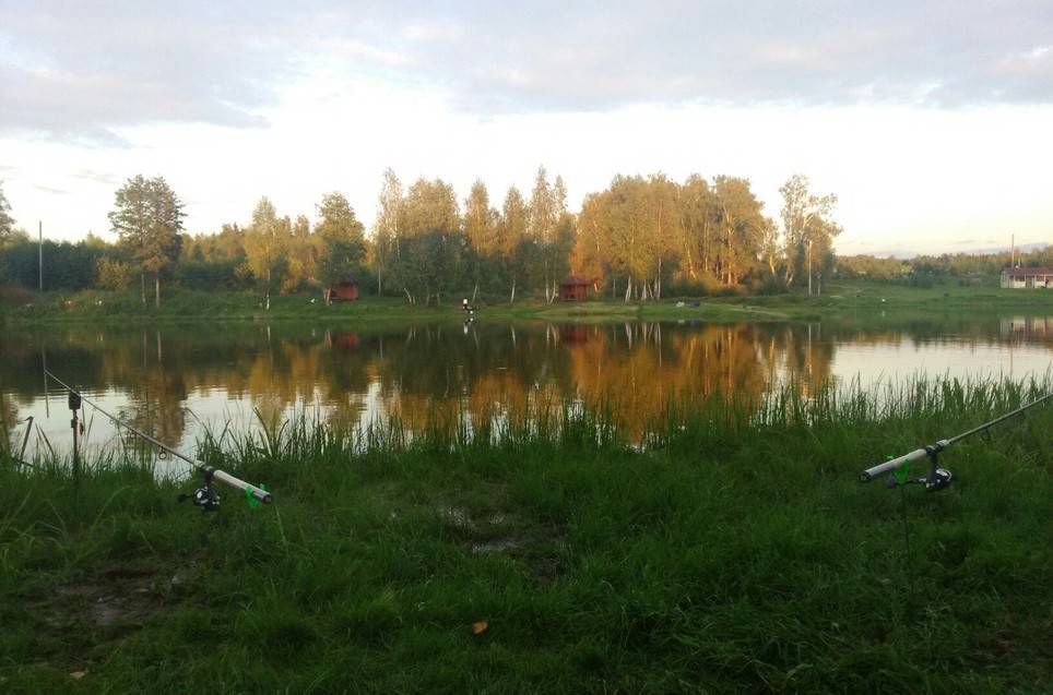 Триал русская рыбалка в чеховский район подмосковья