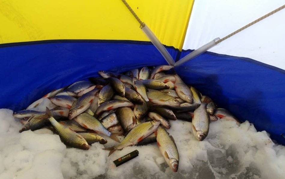 Зимняя рыбалка в подмосковье — сезон 2021-2022 годов открыт