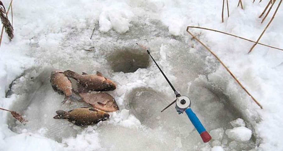 Ловля окуня по первому льду (на балансиры и блесна) | видео