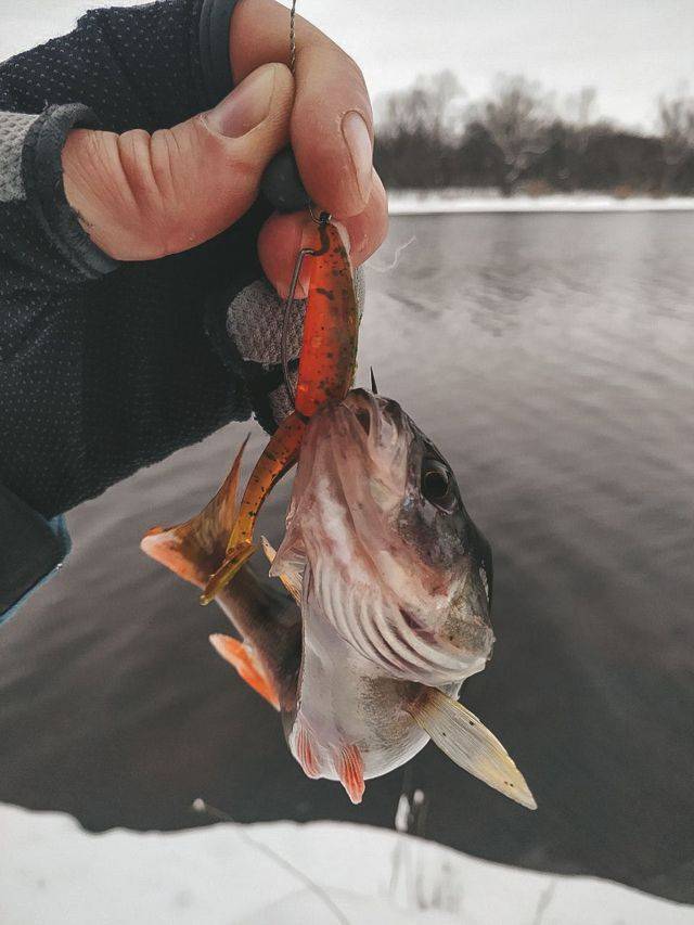 Рыбалка в декабре – где, как и какую рыбу ловить в начале зимы