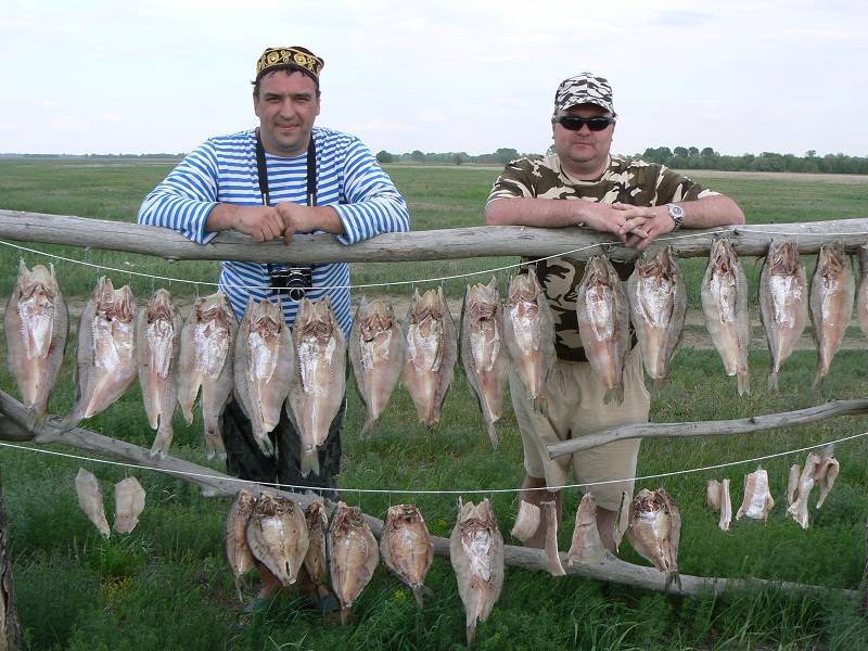 Рыбалка в астрахани: сезоны, способы ловли, приманки, виды рыб