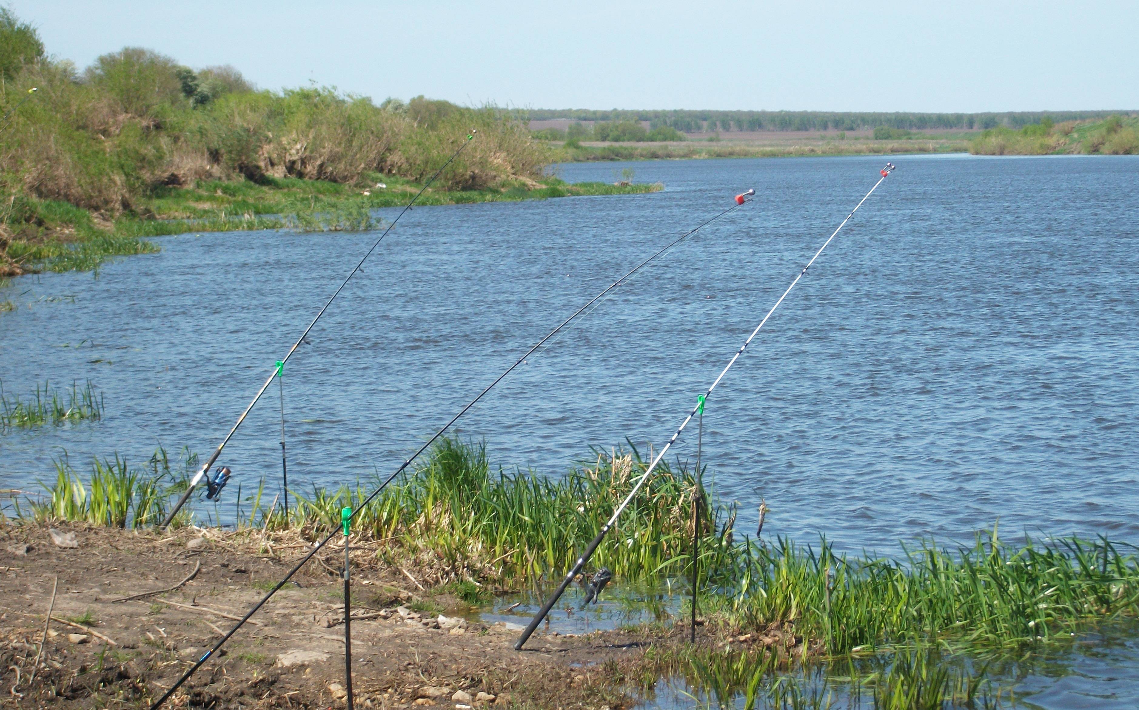 Разновидности рыбалки в россии: речная и морская рыбалка