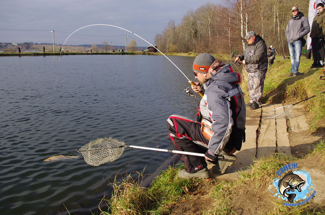 15 лучших рыболовных мест в ульяновской области. бесплатные и платные