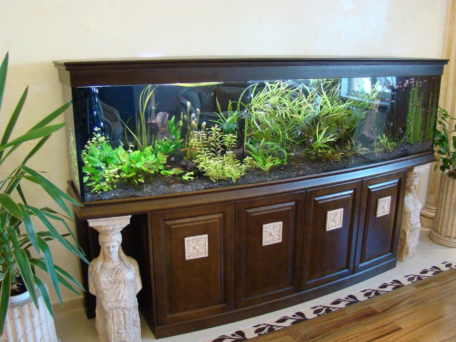 Как выбрать аквариум: советы как правильно выбрать размер, материал и форму. необходимое оборудование для аквариумов (100 фото)
