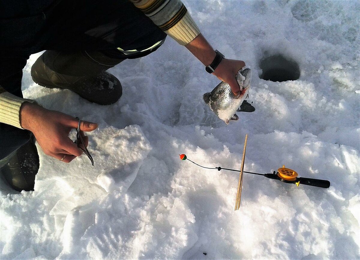 Ловля окуня зимой – способы, тактика поиска и снасти