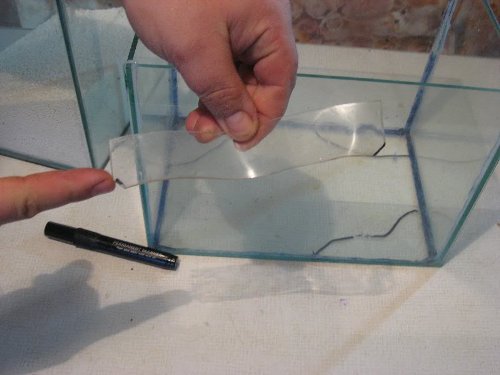 Изготовление аквариума из оргстекла своими руками
