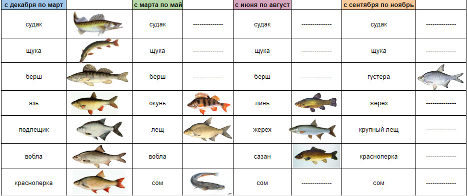 Какая рыба на какую приманку клюет