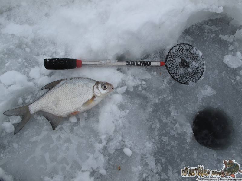 Рыбалка зимой на течении, снасть для зимней рыбалки на реке, как ловить рыбу, оснастка гирлянда, покаток