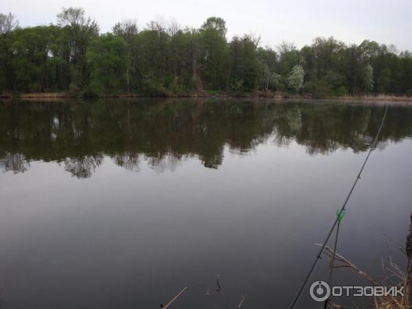 Рыбалка в пензенской области. отчеты рыбаков на форуме