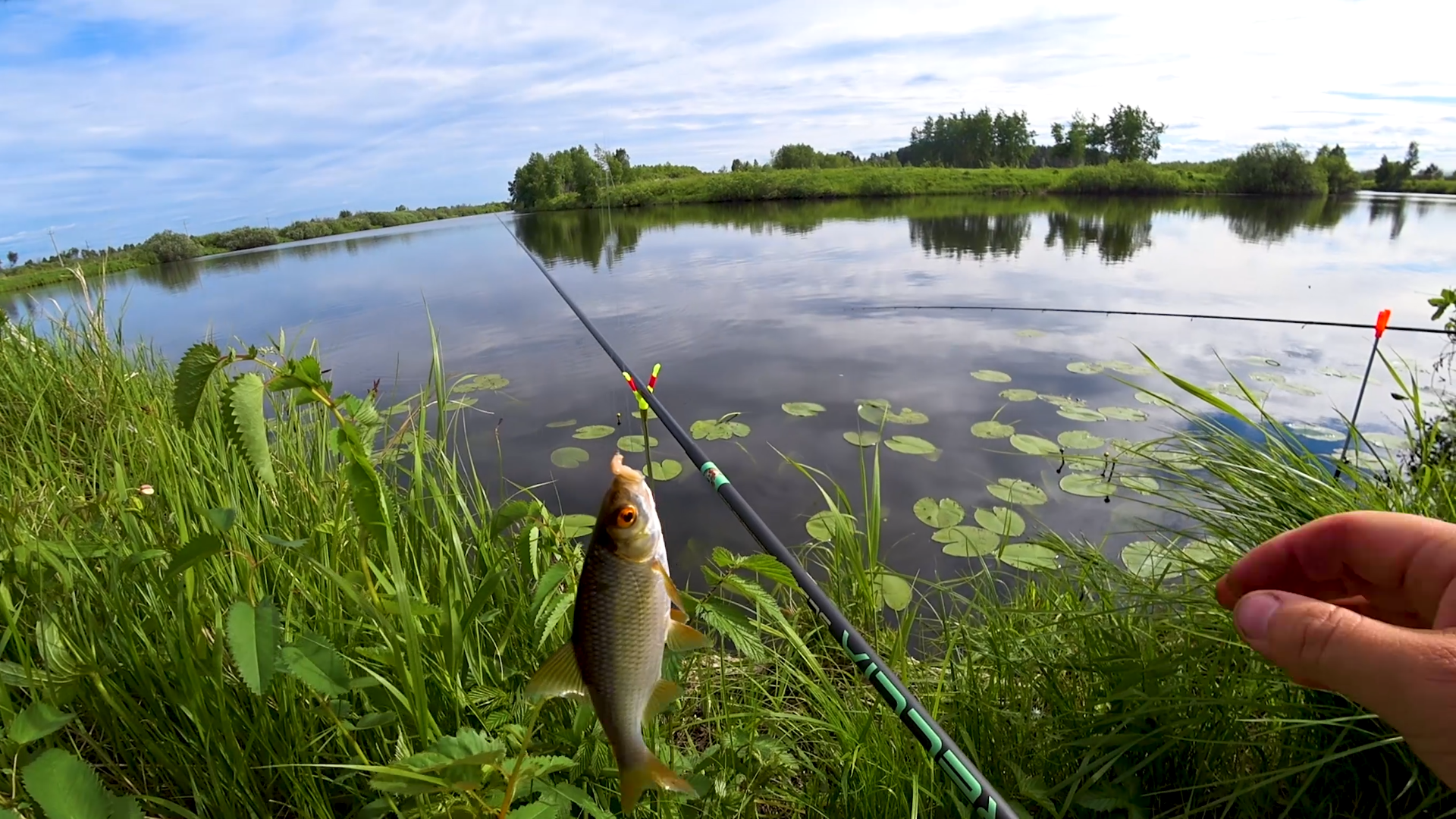 Ловить щуку на озере. Поплавок на окуня. Рыбалка на озере. Поплавочная рыбалка. Поплавок для рыбалки на озере.