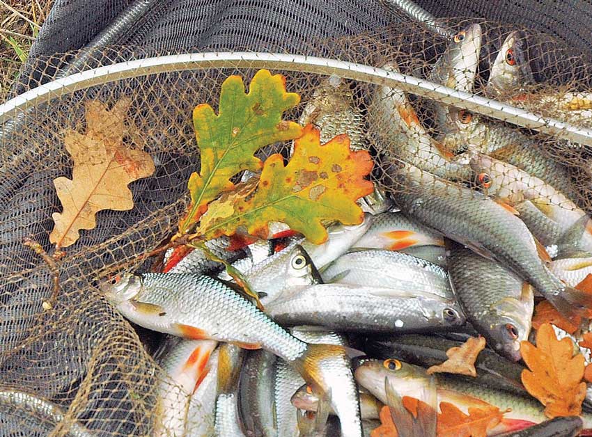 Особенности рыбалки осенью