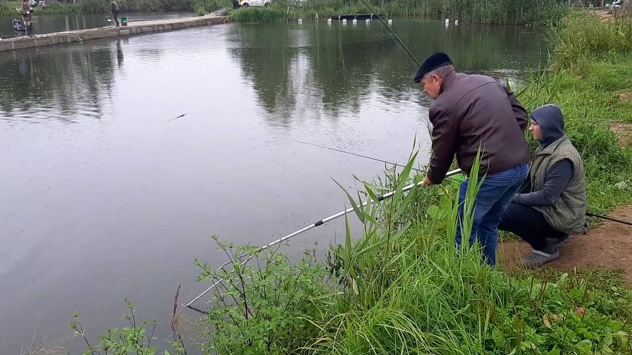 ✅ рыбалка во владимирской области: платная и бесплатная - рыбзон.рф