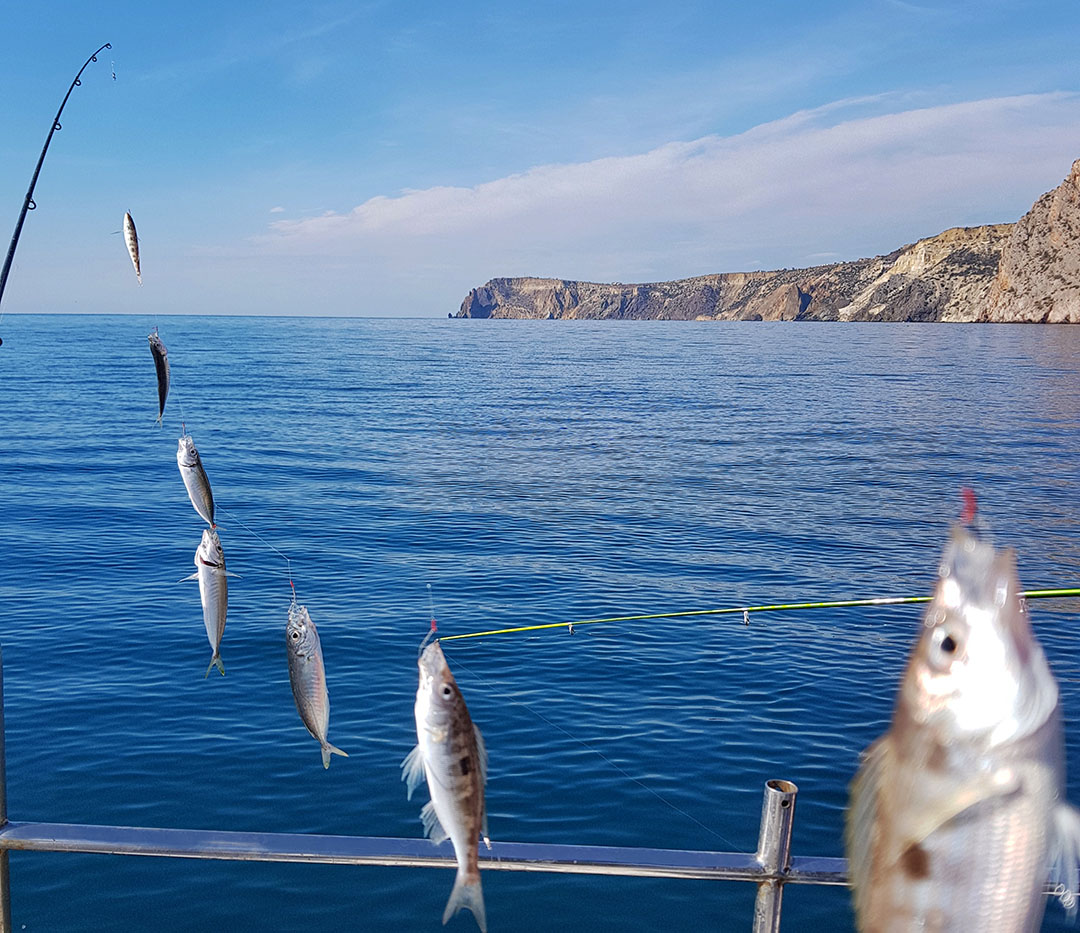 Рокфишинг - морская рыбалка: снасти, приманки, места ловли, рокфишинг на черном море