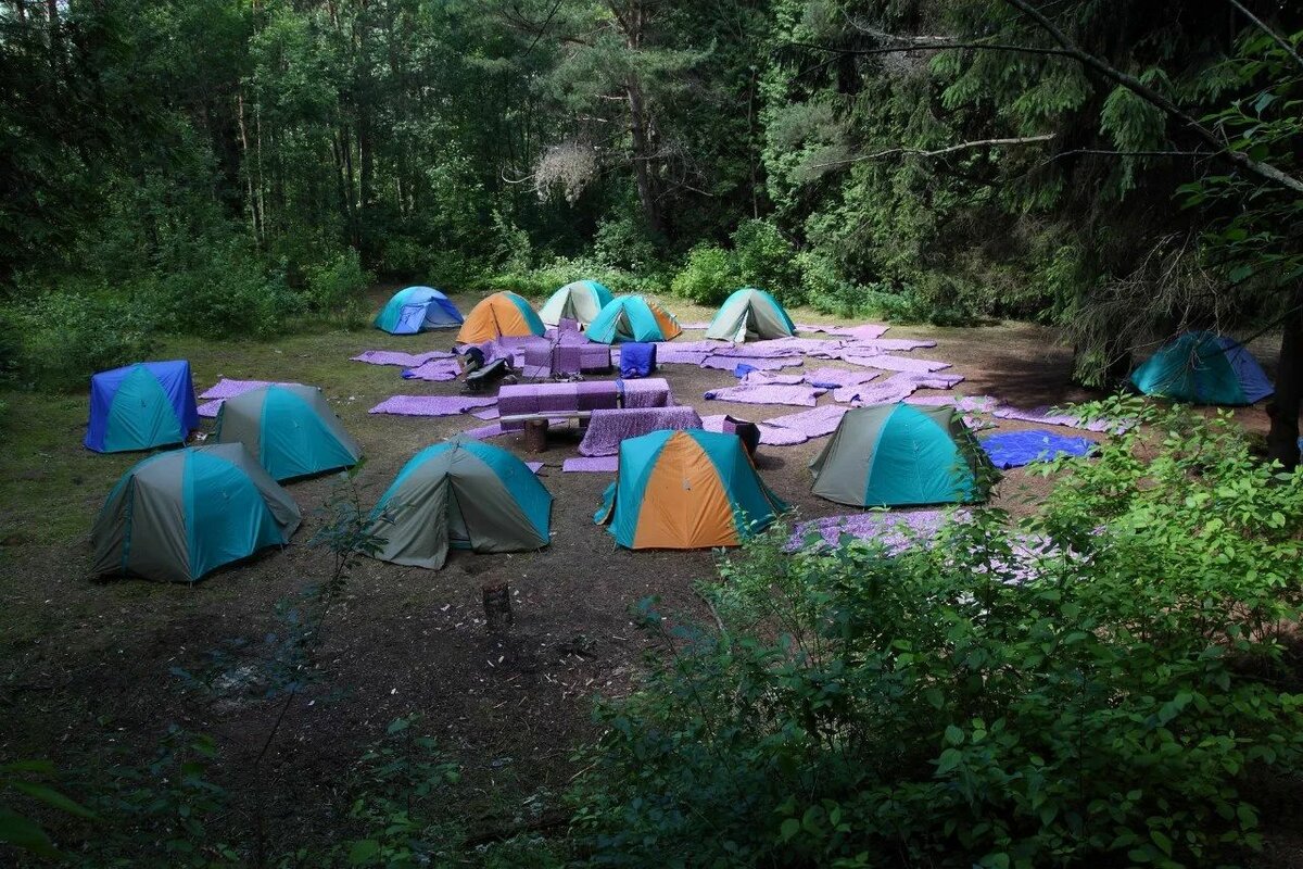 Отдых с палатками на волге: выбор маршрута, места стоянок, красота природы, хорошая рыбалка и советы туристов