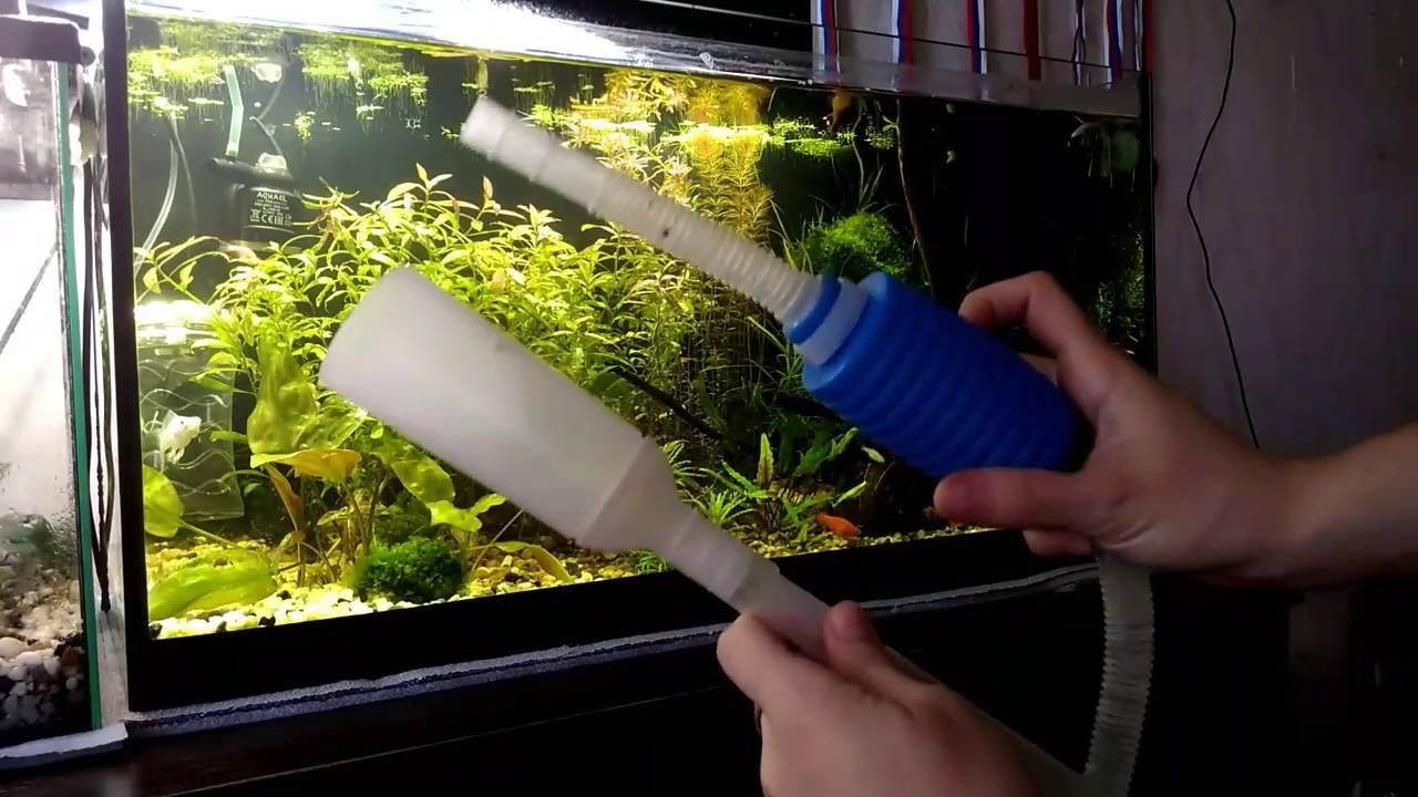 Как очистить аквариум от известкового налета